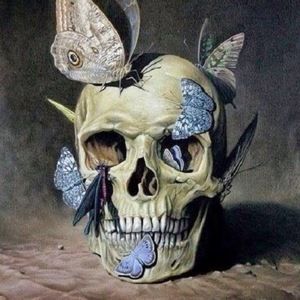 Meet your Posher, Robin